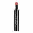 Mat Lip Powder 15 Matte Poeder Lippenstift 15