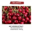 Red Lipstick NIEUWE Cotril Make Up Color Crèmes