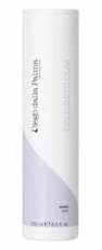 Revitaliserende Tonic